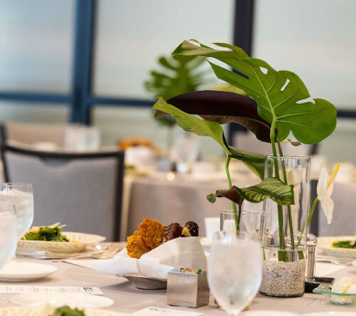Mix of stages and audiences at corporate meetings and events