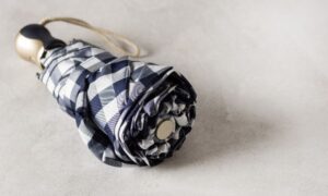 travel umbrella